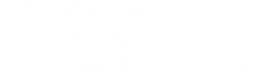 Toyziee